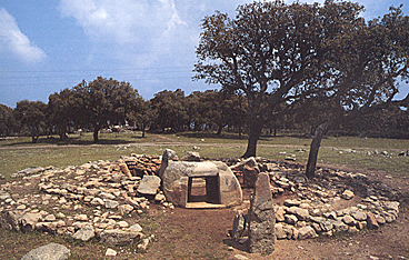 Goni, Parco archeologico di Pranu Muttedu