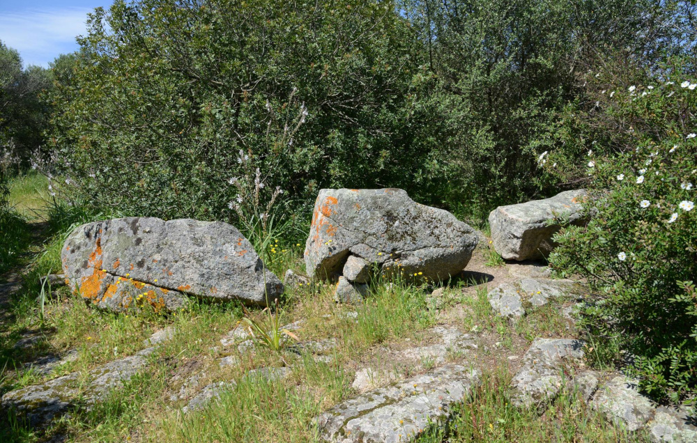 Palau, Tomba di giganti di Saiacciu