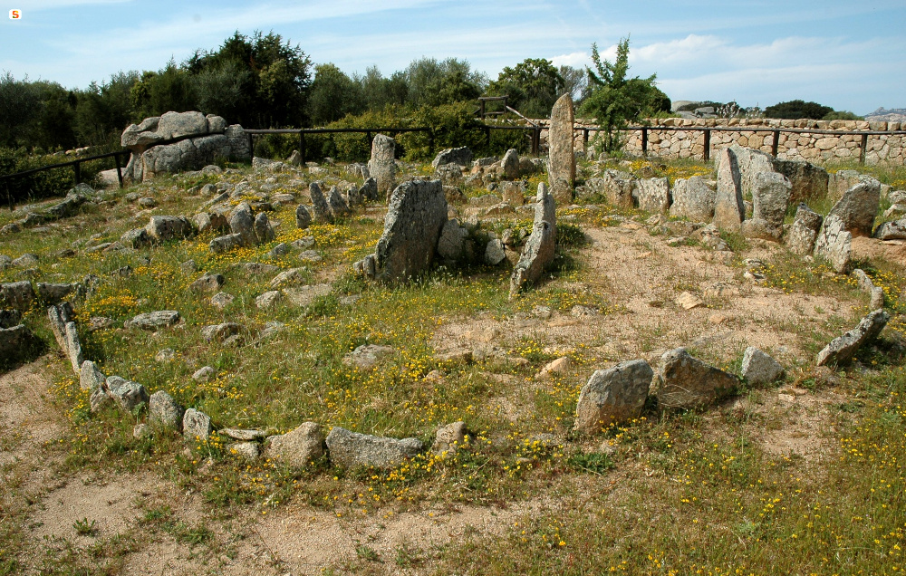 Arzachena, Circoli di Li Muri