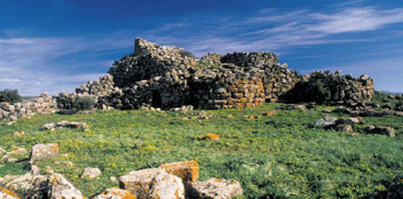 Brunzu mèdiu