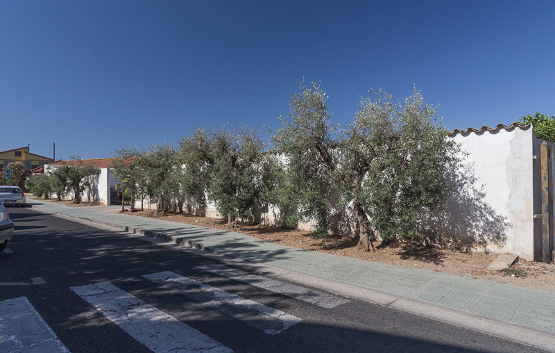 Dolianova, Museo della tradizione olearia "Sa mola de su notariu"