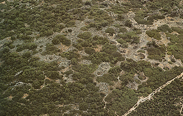 Dorgali, Nuraghe Arvu