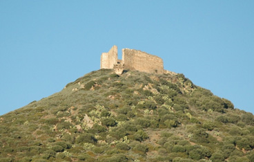 Sardara, Castello di Monreale