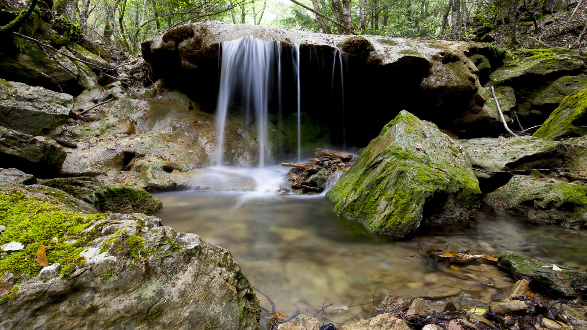 Immersi nella Natura Incontaminata delle Forestas di Montarbu